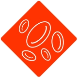 Blood